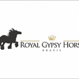UNIVERSIDADE BRASIL - HARAS GYPSY HORSE