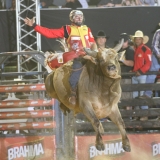 rodeio