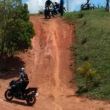 TRIUMPHNOVRMBRO1