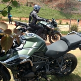 TRIUMPHNOVRMBRO2
