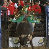 rodeio