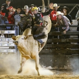rodeio