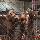 mma1