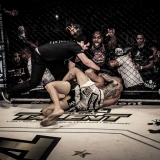 mma1