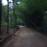 ridebikes1