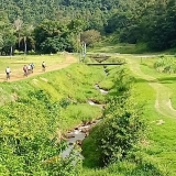 ridebikes1