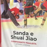 KUNGFUSHUAIJIAO