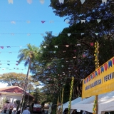 conviva