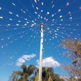 conviva