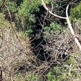 Ataliba2