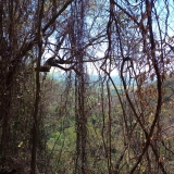 Ataliba2