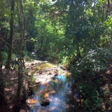 Ataliba2