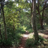 seletivacross1