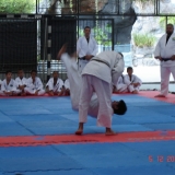 KANGUEIKO3