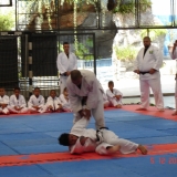 KANGUEIKO3
