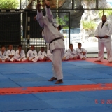 KANGUEIKO3