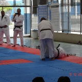 KANGUEIKO3