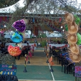 BOTANICO
