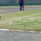 FUTPAL25-2