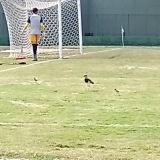 FUTPAL25-2