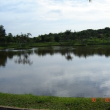 SELMI3