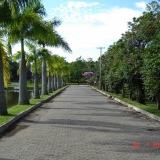 SELMI3