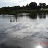 SELMI3