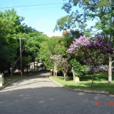 SELMI3