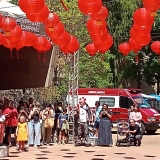 FESTIVAL20252