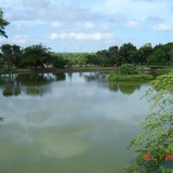 SELMI4