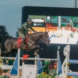 FESTIVAL NACIONAL DOS CRIADORES DE CAVALOS DE HIPISMO 2025