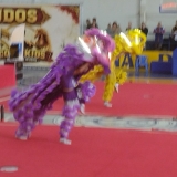 KF20262