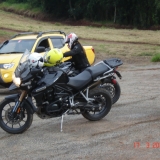 TIGER6
