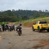 TIGER6