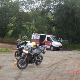 TIGER7