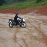TIGER7