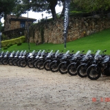TIGER7