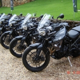 TIGER7