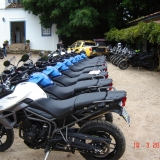 TIGER7