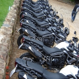 TIGER7