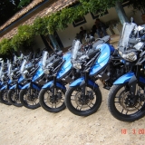 TIGER9