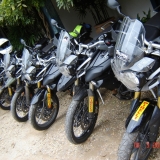 TIGER9