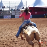 HORSEWEEK1