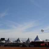 HORSEWEEK1