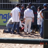 HORSEWEEK1