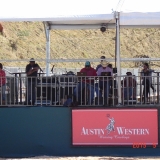 HORSEWEEK1