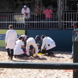 HORSEWEEK1