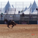 HORSEWEEK1