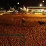 HORSEWEEK2