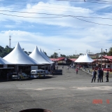 HORSEWEEK4